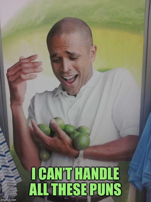Why Can't I Hold All These Limes Meme | I CAN’T HANDLE ALL THESE PUNS | image tagged in memes,why can't i hold all these limes | made w/ Imgflip meme maker