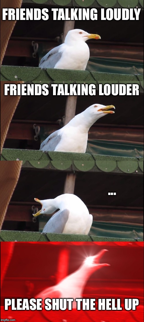 Inhaling Seagull Meme | FRIENDS TALKING LOUDLY; FRIENDS TALKING LOUDER; ... PLEASE SHUT THE HELL UP | image tagged in memes,inhaling seagull | made w/ Imgflip meme maker