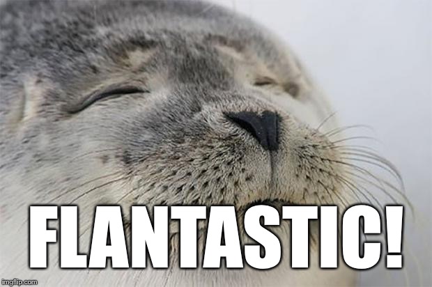 Satisfied Seal Meme | FLANTASTIC! | image tagged in memes,satisfied seal | made w/ Imgflip meme maker