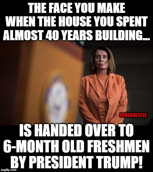 This is what loss of control looks like. | THE FACE YOU MAKE WHEN THE HOUSE YOU SPENT ALMOST 40 YEARS BUILDING... PARADOX3713; IS HANDED OVER TO 6-MONTH OLD FRESHMEN BY PRESIDENT TRUMP! | image tagged in memes,aoc,nancy pelosi,liberals,politics,squad | made w/ Imgflip meme maker