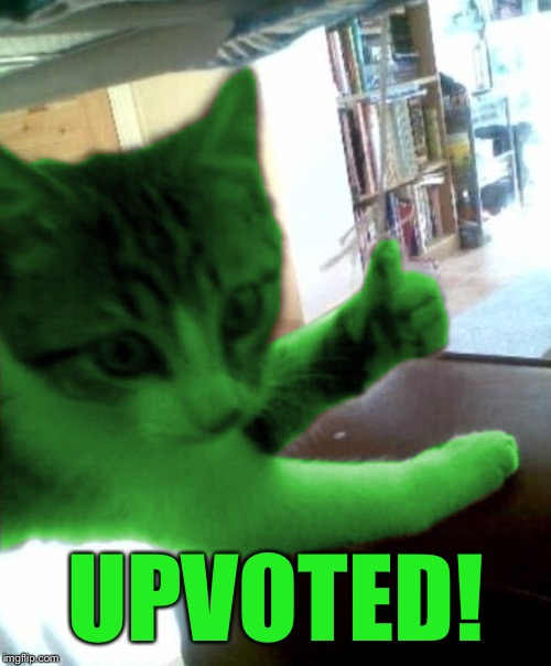 thumbs up RayCat | UPVOTED! | image tagged in thumbs up raycat | made w/ Imgflip meme maker