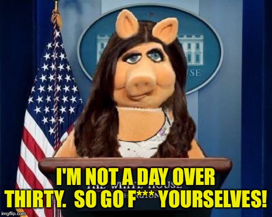 Piggy Sanders | I'M NOT A DAY OVER THIRTY.  SO GO F*** YOURSELVES! | image tagged in piggy sanders | made w/ Imgflip meme maker