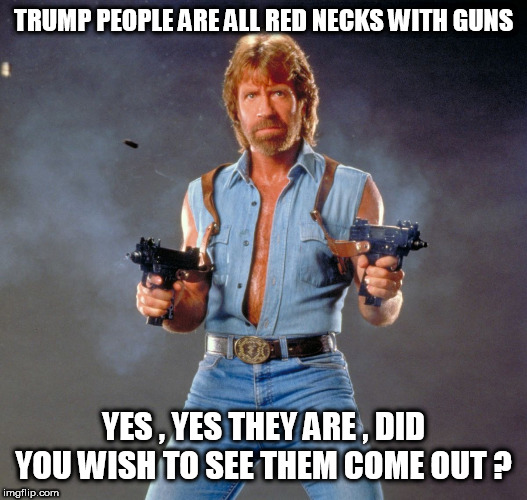 Chuck Norris Guns Meme | TRUMP PEOPLE ARE ALL RED NECKS WITH GUNS; YES , YES THEY ARE , DID YOU WISH TO SEE THEM COME OUT ? | image tagged in memes,chuck norris guns,chuck norris | made w/ Imgflip meme maker