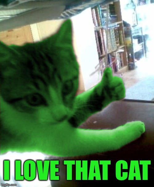 thumbs up RayCat | I LOVE THAT CAT | image tagged in thumbs up raycat | made w/ Imgflip meme maker
