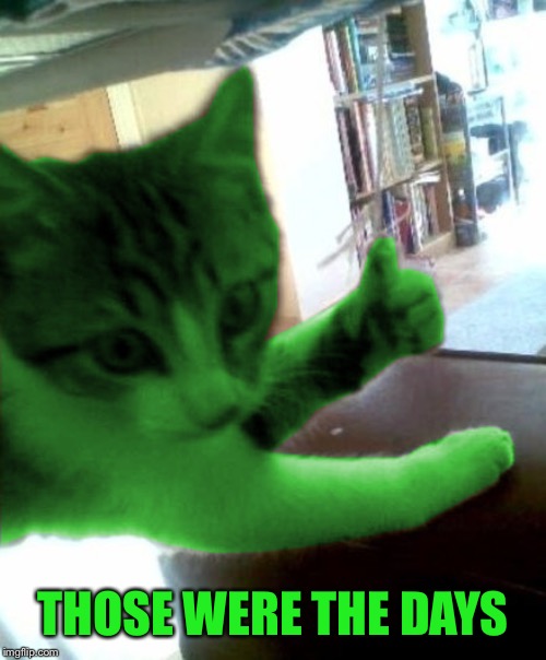 thumbs up RayCat | THOSE WERE THE DAYS | image tagged in thumbs up raycat | made w/ Imgflip meme maker