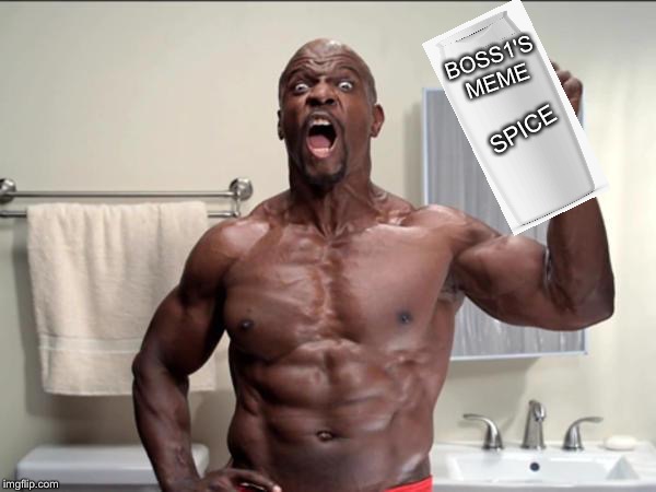 old spice terry | BOSS1'S MEME; SPICE | image tagged in old spice terry,memes,spice,lol | made w/ Imgflip meme maker