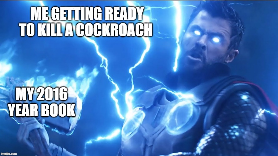 Thor Bring Me Blank | ME GETTING READY TO KILL A COCKROACH; MY 2016 YEAR BOOK | image tagged in thor bring me blank | made w/ Imgflip meme maker