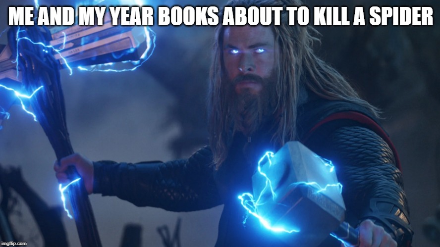 thor hammers | ME AND MY YEAR BOOKS ABOUT TO KILL A SPIDER | image tagged in thor hammers | made w/ Imgflip meme maker