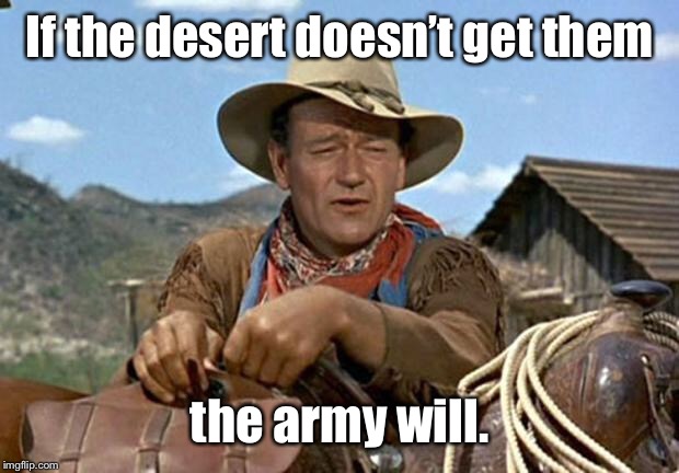 John wayne | If the desert doesn’t get them the army will. | image tagged in john wayne | made w/ Imgflip meme maker