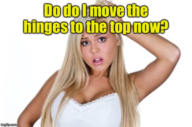 Dumb Blonde | Do do I move the hinges to the top now? | image tagged in dumb blonde | made w/ Imgflip meme maker