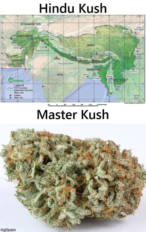 Da Kush | image tagged in kush,marijuana,weed | made w/ Imgflip meme maker