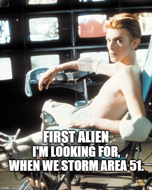 FIRST ALIEN; I'M LOOKING FOR, WHEN WE STORM AREA 51. | image tagged in area 51,david bowie | made w/ Imgflip meme maker