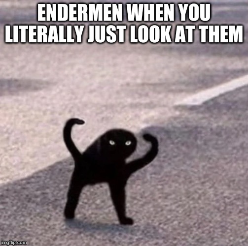 ENDERMEN WHEN YOU LITERALLY JUST LOOK AT THEM | image tagged in minecraft | made w/ Imgflip meme maker