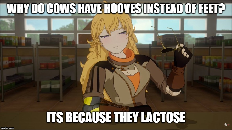 Yang's Puns | WHY DO COWS HAVE HOOVES INSTEAD OF FEET? ITS BECAUSE THEY LACTOSE | image tagged in yang's puns,rwby,funny,fun,bad puns,pun | made w/ Imgflip meme maker