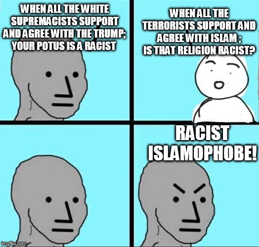 If you apply your premise to another subject, do you still agree? | WHEN ALL THE TERRORISTS SUPPORT AND AGREE WITH ISLAM ; IS THAT RELIGION RACIST? WHEN ALL THE WHITE SUPREMACISTS SUPPORT AND AGREE WITH THE TRUMP; YOUR POTUS IS A RACIST; RACIST ISLAMOPHOBE! | image tagged in npc meme | made w/ Imgflip meme maker