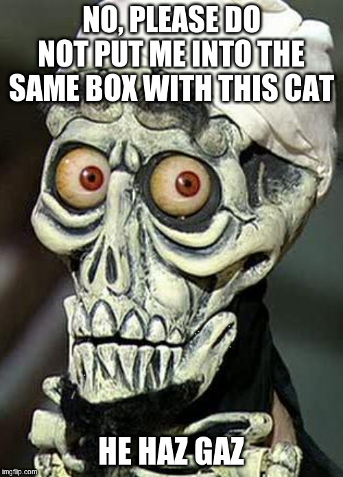 Achmed the Dead Terrorist | NO, PLEASE DO NOT PUT ME INTO THE SAME BOX WITH THIS CAT HE HAZ GAZ | image tagged in achmed the dead terrorist | made w/ Imgflip meme maker