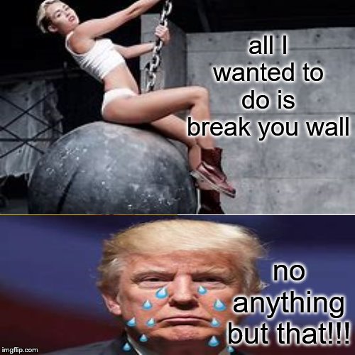 don't break my wall | all I wanted to do is break you wall; no anything but that!!! | image tagged in donald trump,miley cyrus | made w/ Imgflip meme maker