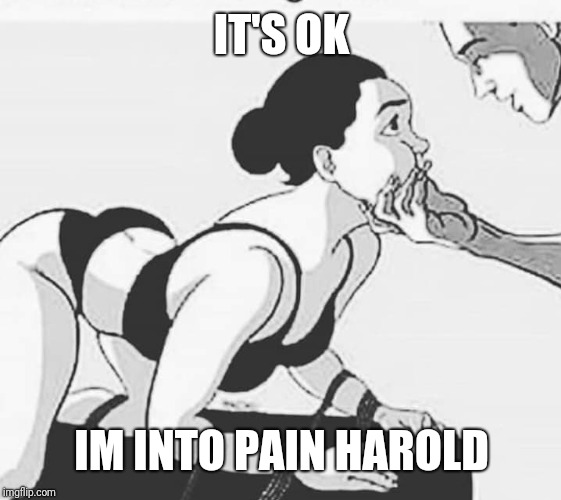 kinky bondage | IT'S OK IM INTO PAIN HAROLD | image tagged in kinky bondage | made w/ Imgflip meme maker