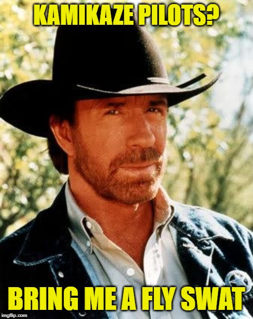 Chuck Norris Meme | KAMIKAZE PILOTS? BRING ME A FLY SWAT | image tagged in memes,chuck norris | made w/ Imgflip meme maker