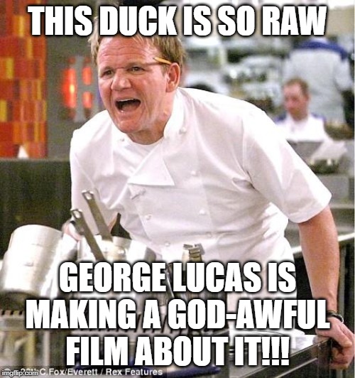 Cooking Howard | THIS DUCK IS SO RAW; GEORGE LUCAS IS MAKING A GOD-AWFUL FILM ABOUT IT!!! | image tagged in memes,chef gordon ramsay,howard,george lucas,duck,quack | made w/ Imgflip meme maker