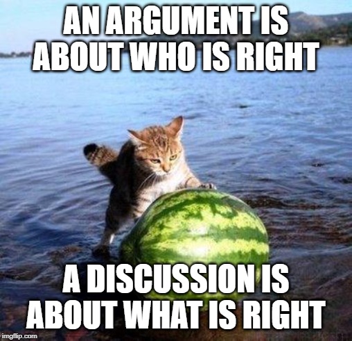 Argument invalid watermelon cat | AN ARGUMENT IS ABOUT WHO IS RIGHT; A DISCUSSION IS ABOUT WHAT IS RIGHT | image tagged in argument invalid watermelon cat | made w/ Imgflip meme maker