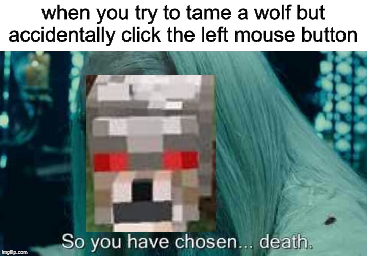 So you have chosen death | when you try to tame a wolf but accidentally click the left mouse button | image tagged in so you have chosen death | made w/ Imgflip meme maker