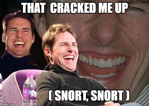 Tom Cruise laugh | THAT  CRACKED ME UP ( SNORT, SNORT ) | image tagged in tom cruise laugh | made w/ Imgflip meme maker