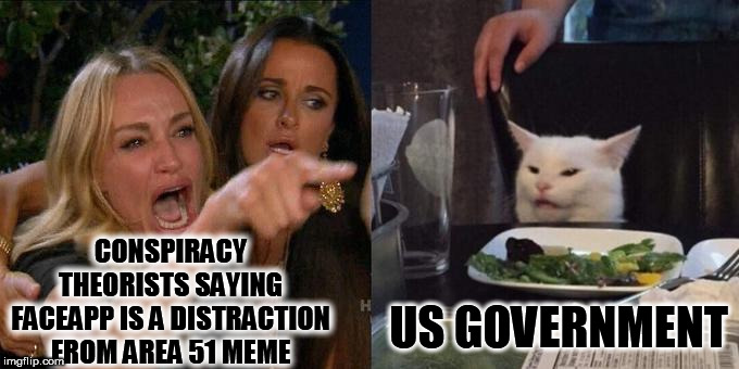 They Seriously Don't Know What You're Talking About | CONSPIRACY THEORISTS SAYING FACEAPP IS A DISTRACTION FROM AREA 51 MEME; US GOVERNMENT | image tagged in woman screaming at cat,us government,conspiracy theory | made w/ Imgflip meme maker