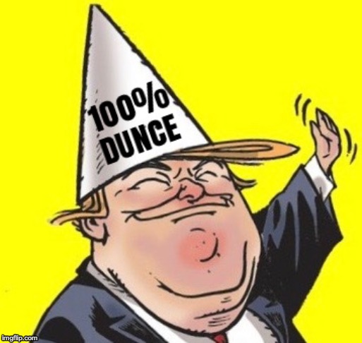 TRUMP DUNCE | image tagged in donald trump,trump | made w/ Imgflip meme maker