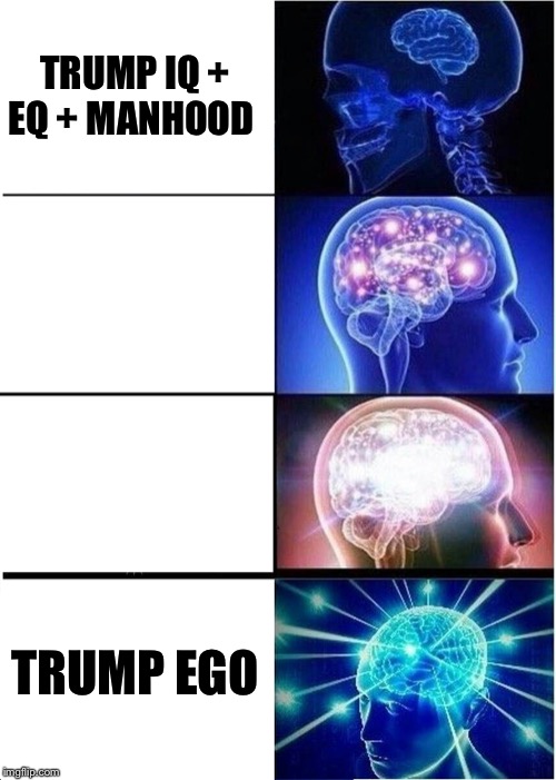 Expanding Brain Meme | TRUMP IQ + EQ + MANHOOD TRUMP EGO | image tagged in memes,expanding brain | made w/ Imgflip meme maker