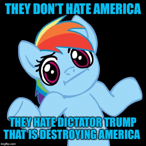 Pony Shrugs Meme | THEY DON’T HATE AMERICA THEY HATE DICTATOR TRUMP THAT IS DESTROYING AMERICA | image tagged in memes,pony shrugs | made w/ Imgflip meme maker