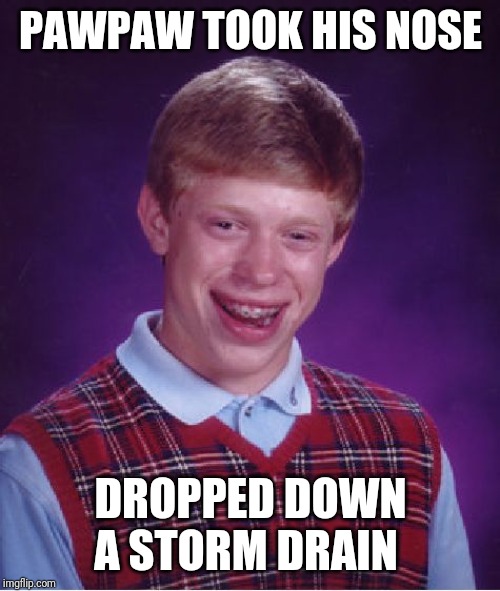 Bad Luck Brian Meme | PAWPAW TOOK HIS NOSE DROPPED DOWN A STORM DRAIN | image tagged in memes,bad luck brian | made w/ Imgflip meme maker