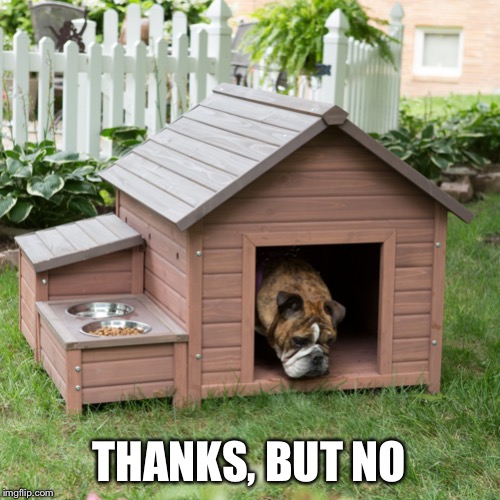 Dog House | THANKS, BUT NO | image tagged in dog house | made w/ Imgflip meme maker