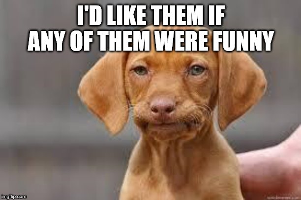 Disappointed Dog | I'D LIKE THEM IF ANY OF THEM WERE FUNNY | image tagged in disappointed dog | made w/ Imgflip meme maker