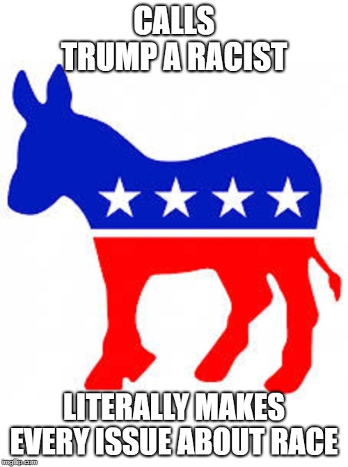 Democrat donkey |  CALLS TRUMP A RACIST; LITERALLY MAKES EVERY ISSUE ABOUT RACE | image tagged in democrat donkey | made w/ Imgflip meme maker