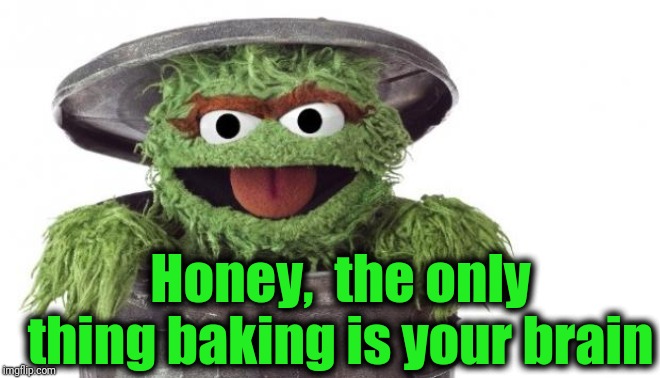 Oscar trashcan Sesame street | Honey,  the only thing baking is your brain | image tagged in oscar trashcan sesame street | made w/ Imgflip meme maker