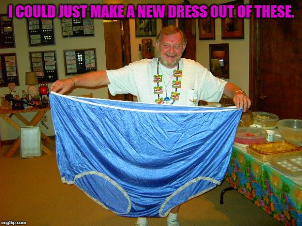 BIG Underwear  | I COULD JUST MAKE A NEW DRESS OUT OF THESE. | image tagged in big underwear | made w/ Imgflip meme maker