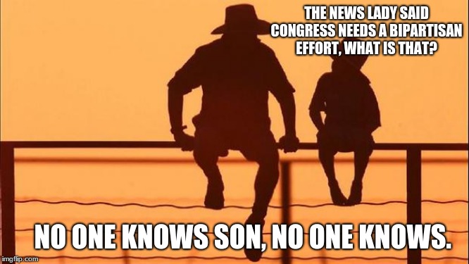 From the it will never happen department | THE NEWS LADY SAID CONGRESS NEEDS A BIPARTISAN EFFORT, WHAT IS THAT? NO ONE KNOWS SON, NO ONE KNOWS. | image tagged in cowboy father and son,bipartisan effort,fire congress,no one knows,vote out incumbents,congress sucks | made w/ Imgflip meme maker