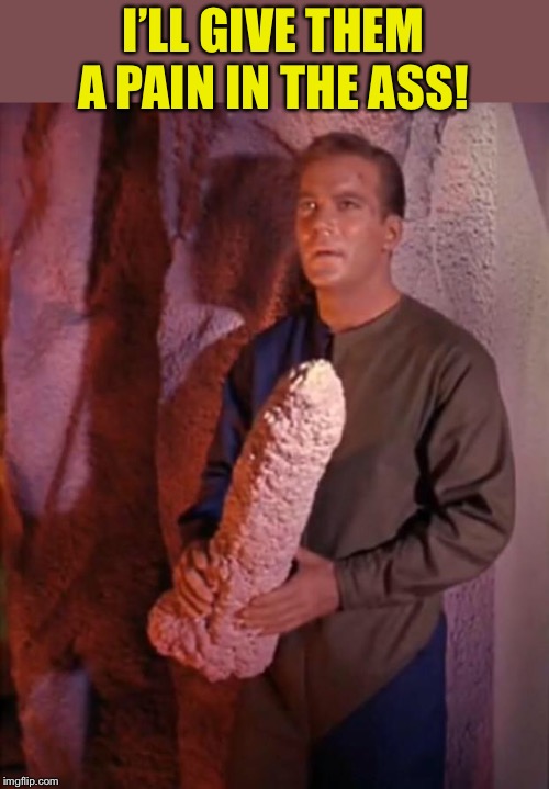 Kirk dildo | I’LL GIVE THEM A PAIN IN THE ASS! | image tagged in kirk dildo | made w/ Imgflip meme maker