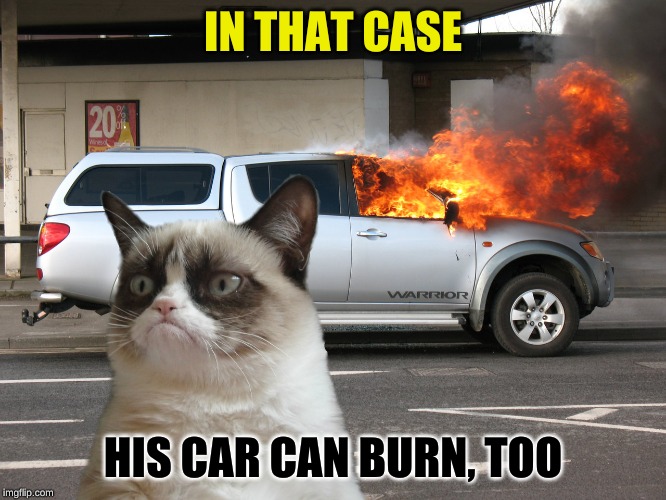 Grumpy Cat Fire Car | IN THAT CASE HIS CAR CAN BURN, TOO | image tagged in grumpy cat fire car | made w/ Imgflip meme maker