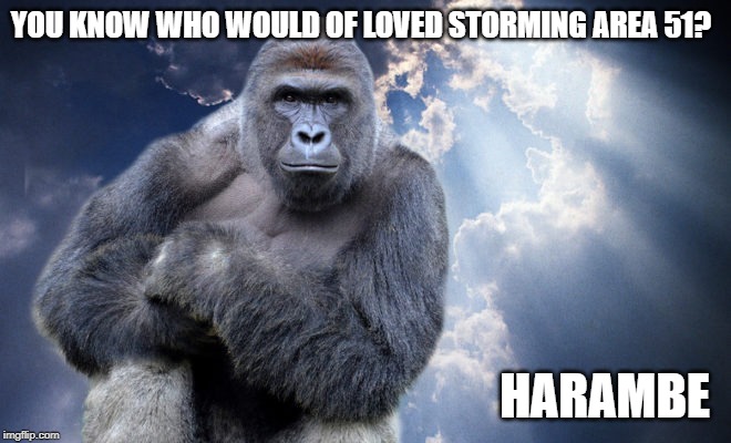 harambe heaven | YOU KNOW WHO WOULD OF LOVED STORMING AREA 51? HARAMBE | image tagged in harambe heaven | made w/ Imgflip meme maker