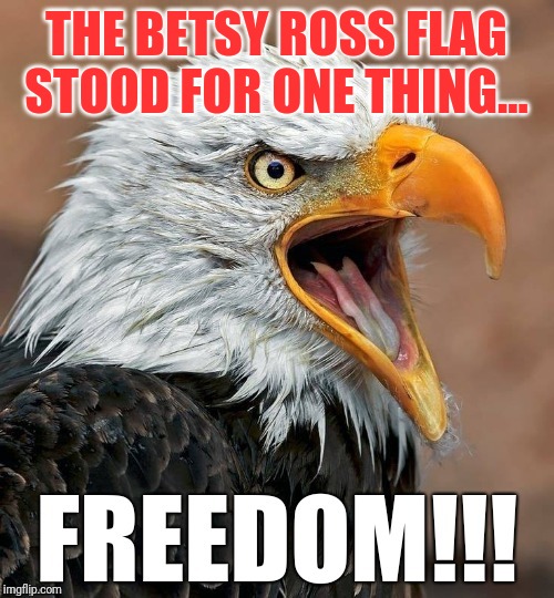 Freedom | THE BETSY ROSS FLAG STOOD FOR ONE THING... | image tagged in flag | made w/ Imgflip meme maker