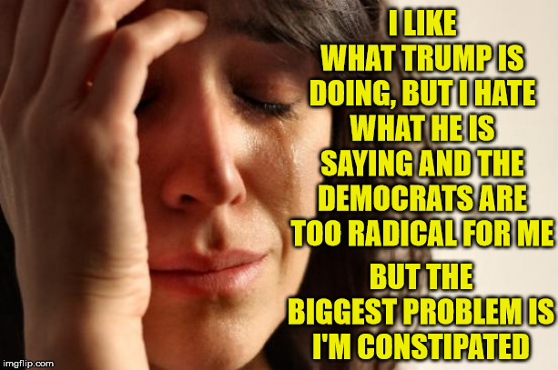 First World Problems | I LIKE WHAT TRUMP IS DOING, BUT I HATE WHAT HE IS SAYING AND THE DEMOCRATS ARE TOO RADICAL FOR ME; BUT THE BIGGEST PROBLEM IS I'M CONSTIPATED | image tagged in memes,first world problems,donald trump,democrats | made w/ Imgflip meme maker