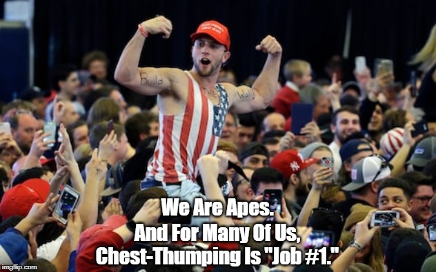 We Are Apes. | We Are Apes. And For Many Of Us, Chest-Thumping Is "Job #1." | image tagged in apes,jingoism,chauvinism,maga,chest-thumping,monkey see monkey do | made w/ Imgflip meme maker