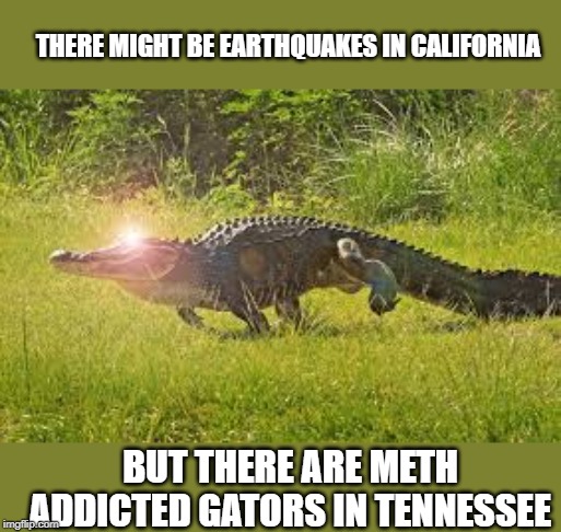 No state is perfect | THERE MIGHT BE EARTHQUAKES IN CALIFORNIA; BUT THERE ARE METH ADDICTED GATORS IN TENNESSEE | image tagged in memes,fun,alligator,tennessee | made w/ Imgflip meme maker
