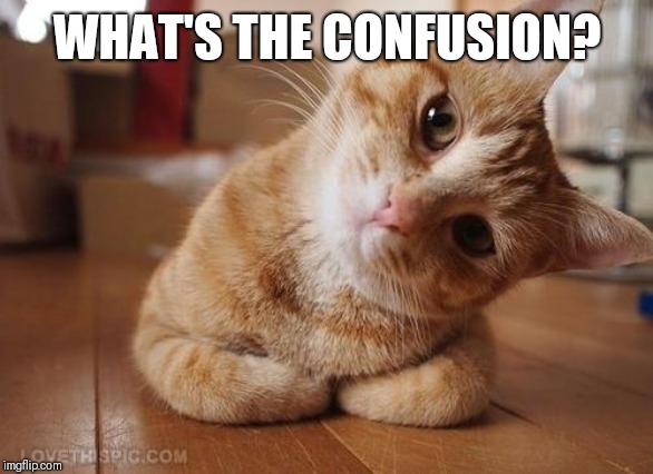 Curious Question Cat | WHAT'S THE CONFUSION? | image tagged in curious question cat | made w/ Imgflip meme maker