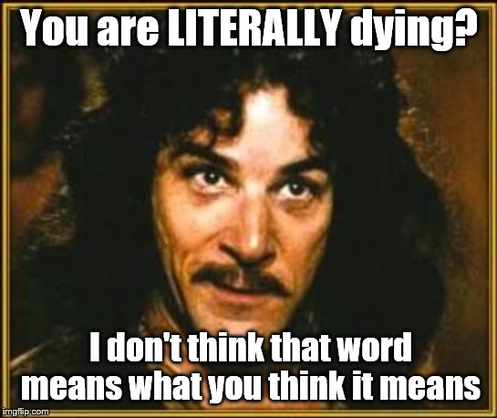 princess bride | You are LITERALLY dying? I don't think that word means what you think it means | image tagged in princess bride | made w/ Imgflip meme maker