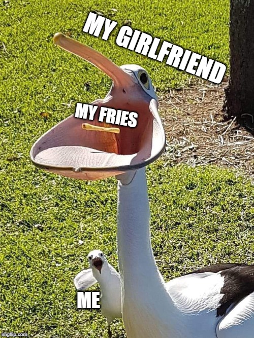 MY GIRLFRIEND; MY FRIES; ME | image tagged in bird,french fries,funny,girlfriend | made w/ Imgflip meme maker