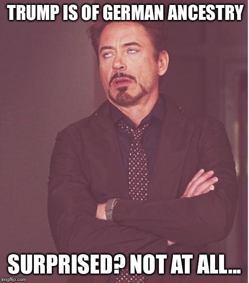 Face You Make Robert Downey Jr Meme | TRUMP IS OF GERMAN ANCESTRY SURPRISED? NOT AT ALL... | image tagged in memes,face you make robert downey jr | made w/ Imgflip meme maker