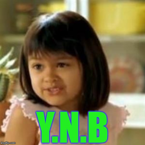 Why not both? | Y.N.B | image tagged in why not both | made w/ Imgflip meme maker